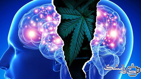 marijuana and schisophrenia - بیماری اسکیزوفرنی | علائم و راههای درمان